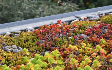 the cost of Grantown On Spey green roof installation