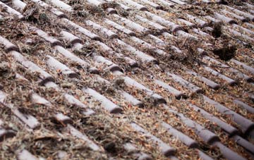 Grantown On Spey roof cleaning companies